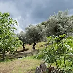 Oliveraie D'olmiccia Appartamento