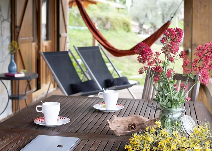 Oliveraie D'olmiccia *