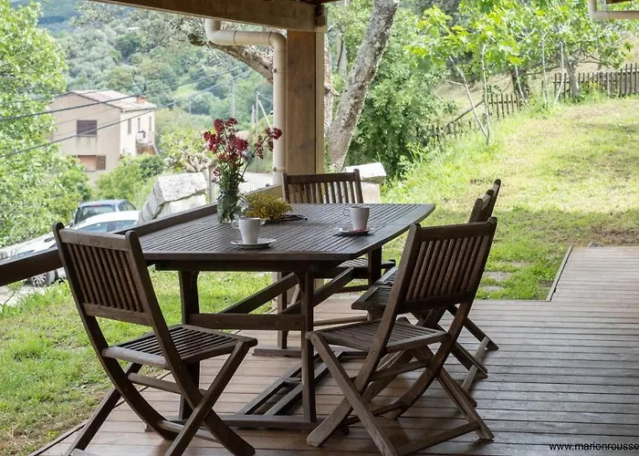 Oliveraie D'olmiccia Apartment Olmiccia