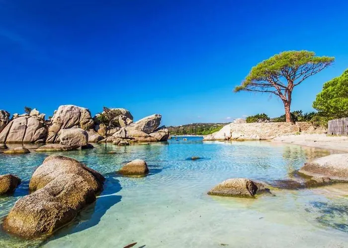 Apartment Oliveraie D'olmiccia