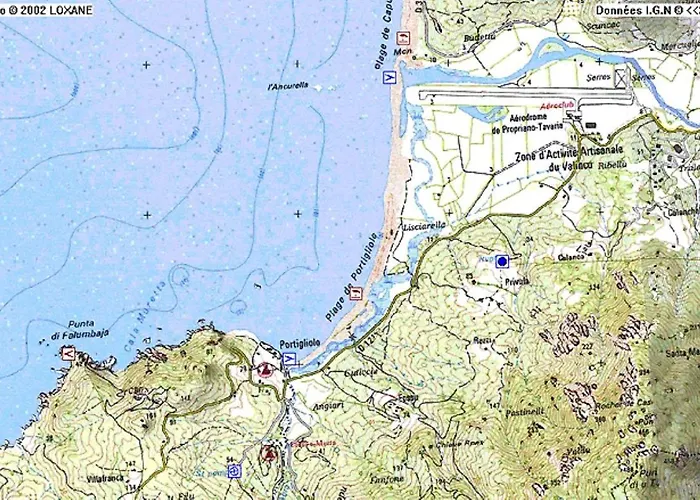 Oliveraie D'olmiccia