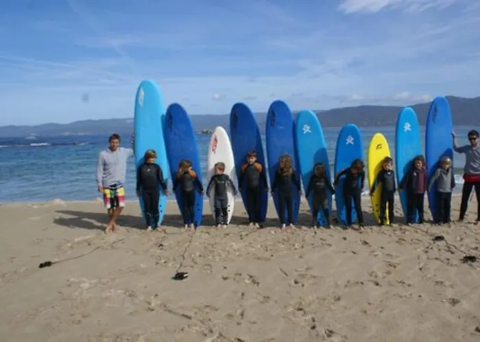 Oliveraie D'olmiccia Olmiccia