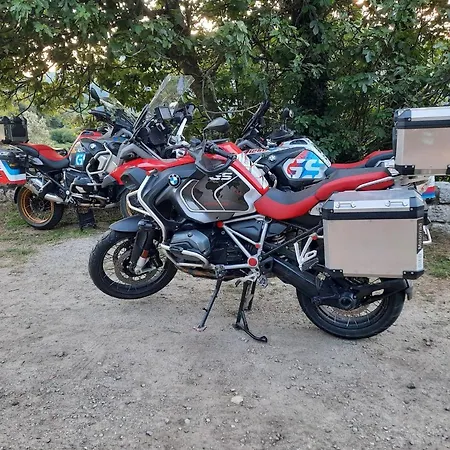 Oliveraie D'olmiccia Olmiccia