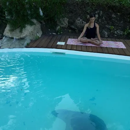 Oliveraie D'olmiccia Apartman