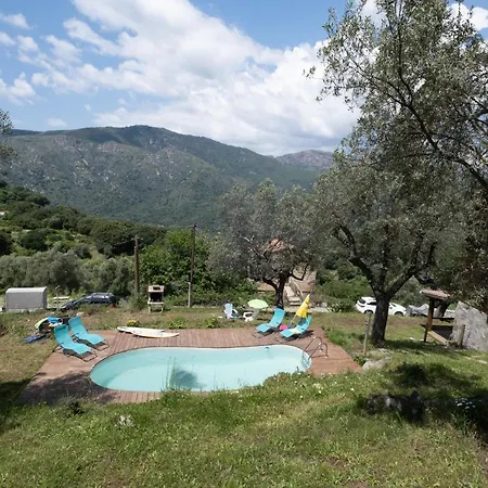 Oliveraie D'olmiccia Olmiccia