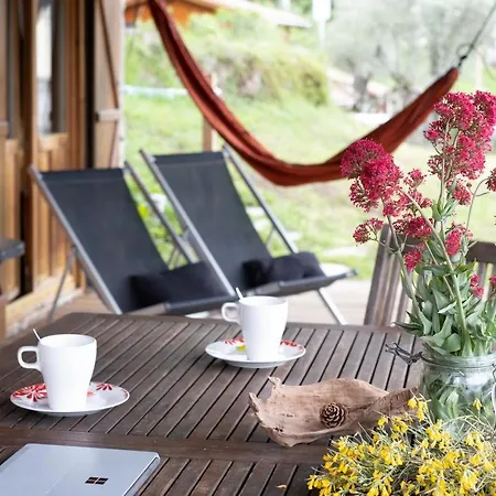 Oliveraie D'olmiccia *