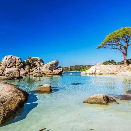 Apartment Oliveraie D'olmiccia