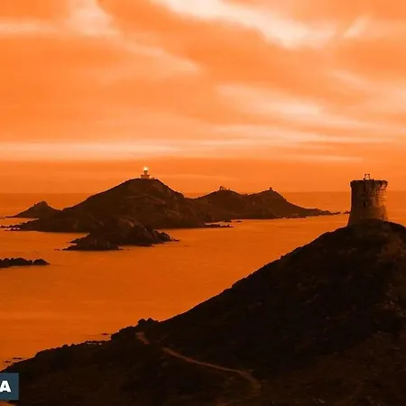 Oliveraie D'olmiccia Olmiccia