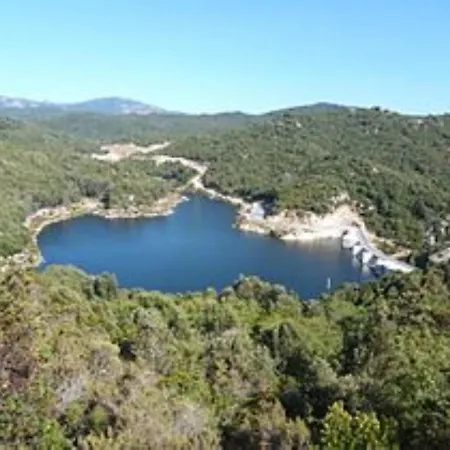 Oliveraie D'olmiccia Apartment *