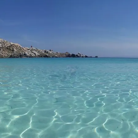 Oliveraie D'olmiccia