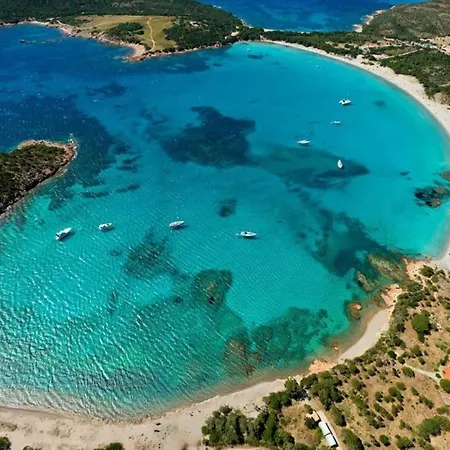 Oliveraie D'olmiccia Lägenhet