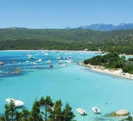 Apartman Oliveraie D'olmiccia *