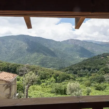 Oliveraie D'olmiccia *