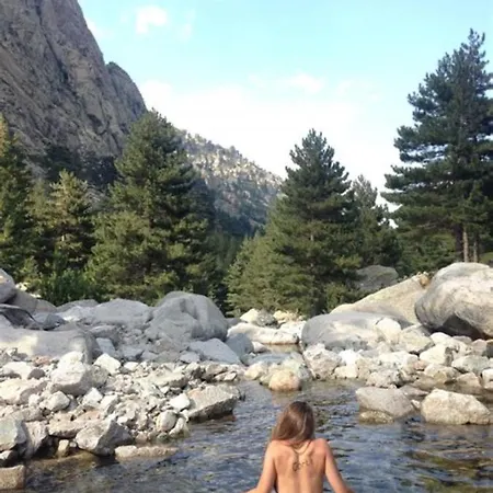 Apartment Oliveraie D'olmiccia Olmiccia