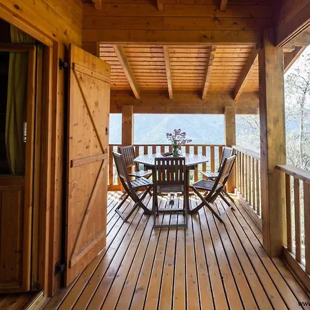 Oliveraie D'olmiccia * Olmiccia