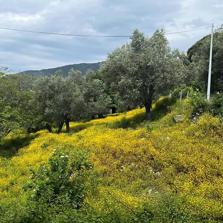 Apartman Oliveraie D'olmiccia *