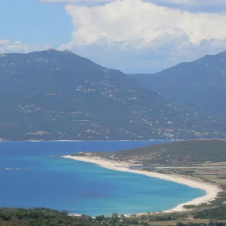 Oliveraie D'olmiccia * Olmiccia