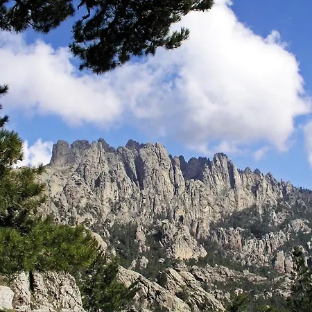 Oliveraie D'olmiccia * Olmiccia