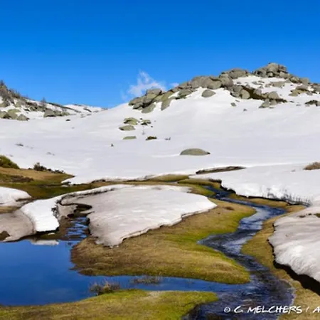 Oliveraie D'olmiccia