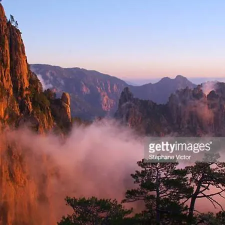 Apartment Oliveraie D'olmiccia