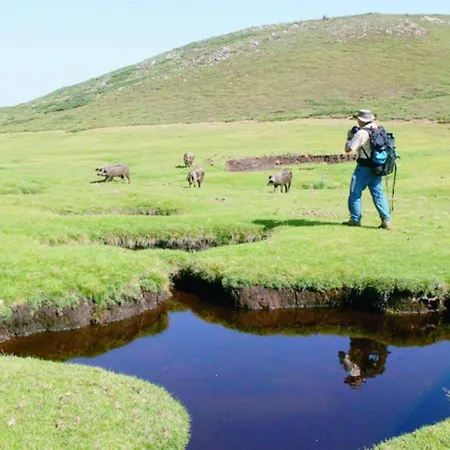 Apartment Oliveraie D'olmiccia Olmiccia