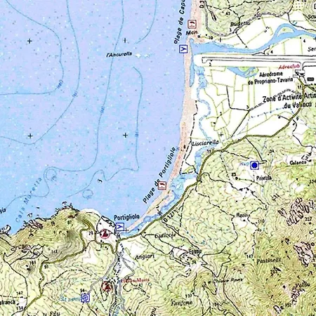 Oliveraie D'olmiccia