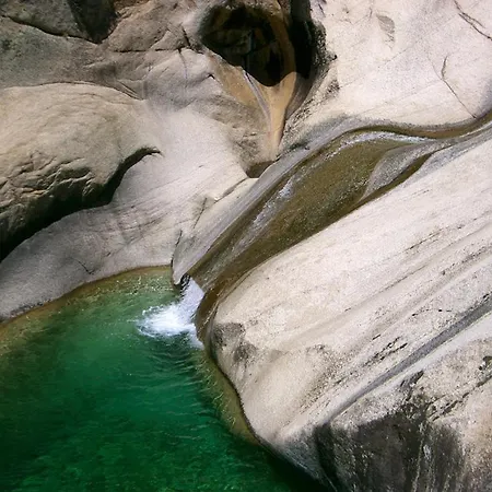 Lägenhet Oliveraie D'olmiccia