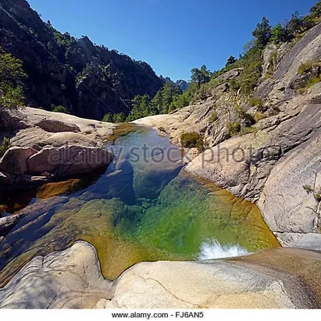 Apartment Oliveraie D'olmiccia Olmiccia