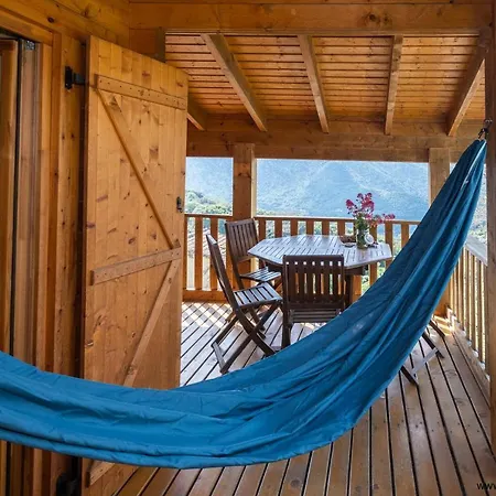 Oliveraie D'olmiccia * Olmiccia