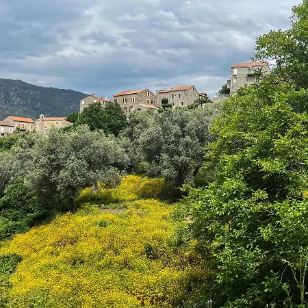 Apartman Oliveraie D'olmiccia *