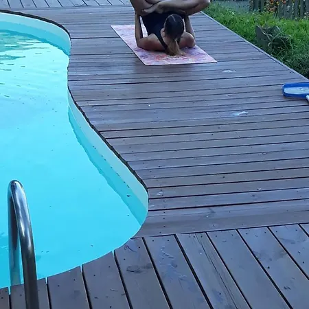 Oliveraie D'olmiccia Olmiccia