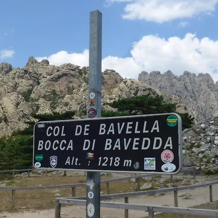 Oliveraie D'olmiccia * Olmiccia