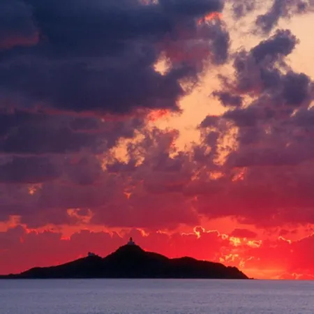 Oliveraie D'olmiccia Olmiccia