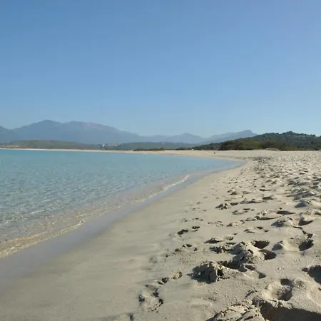 Oliveraie D'olmiccia