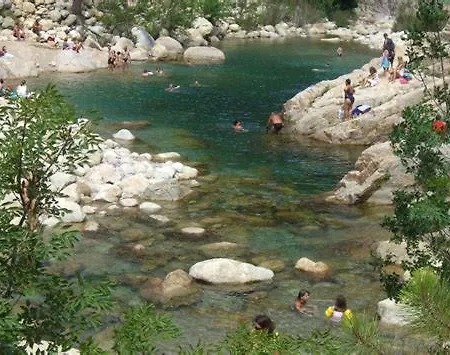 Oliveraie D'olmiccia *