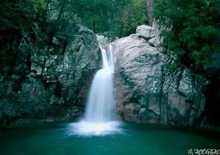 Lägenhet Oliveraie D'olmiccia Olmiccia