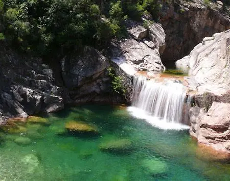 Oliveraie D'olmiccia *