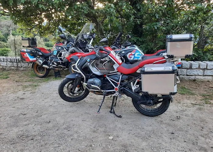 Oliveraie D'olmiccia Olmiccia