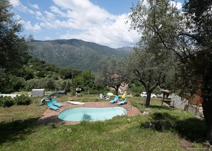 Oliveraie D'olmiccia Olmiccia