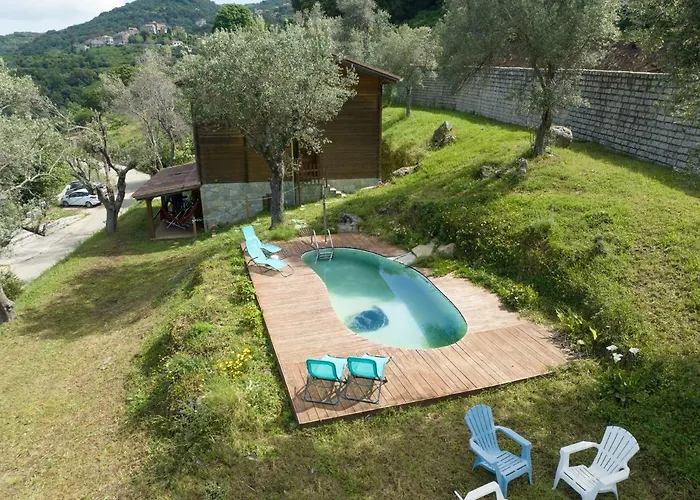 Oliveraie D'olmiccia