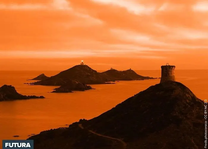 Oliveraie D'olmiccia Olmiccia