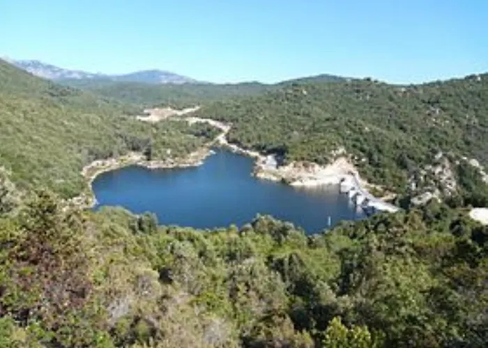 Oliveraie D'olmiccia Apartmán *