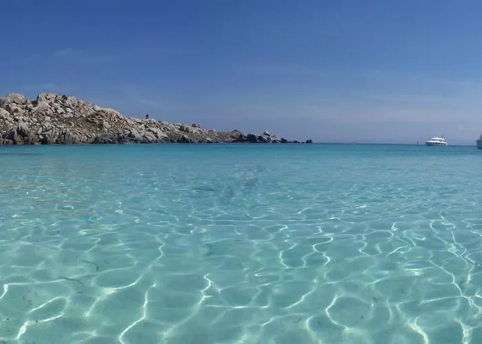 Oliveraie D'olmiccia