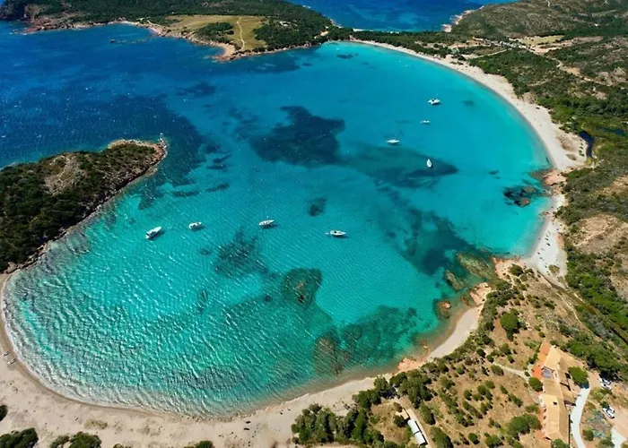 Oliveraie D'olmiccia Appartement