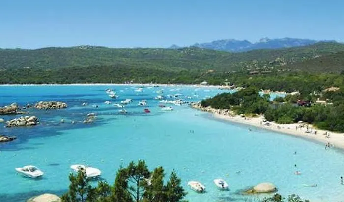 Appartement Oliveraie D'olmiccia *