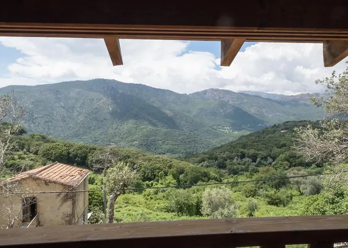 Oliveraie D'olmiccia *