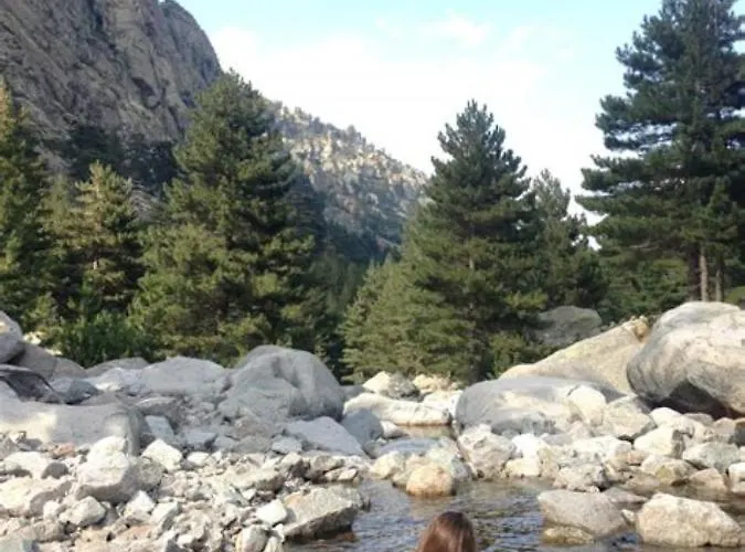 Apartmán Oliveraie D'olmiccia Olmiccia