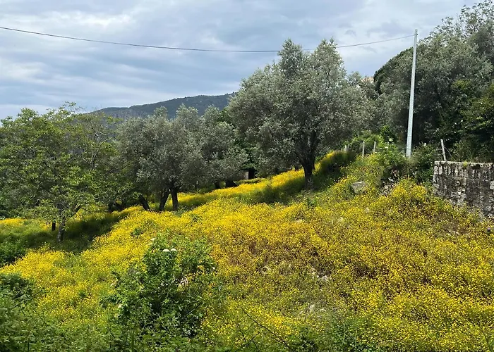 Apartmán Oliveraie D'olmiccia *