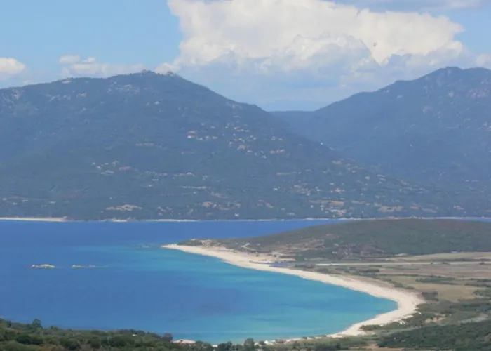 Oliveraie D'olmiccia * Olmiccia