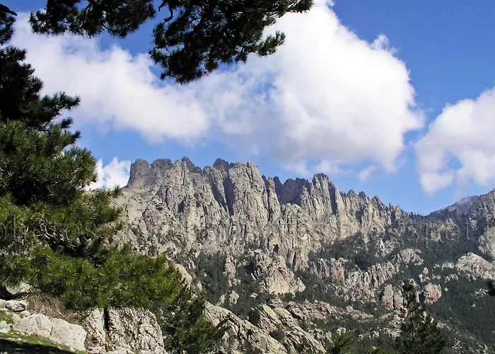 Oliveraie D'olmiccia * Olmiccia